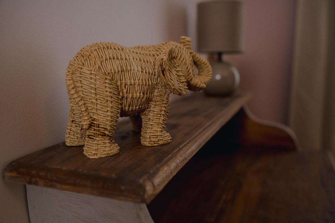 Photo of Others in Oloron-Sainte-Marie