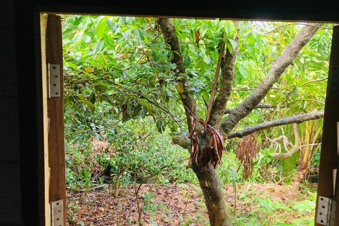 Photo of Others in Kampung Permatang Sireh