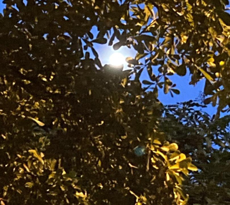 Photo of Buildings in Kampung Permatang Sireh
