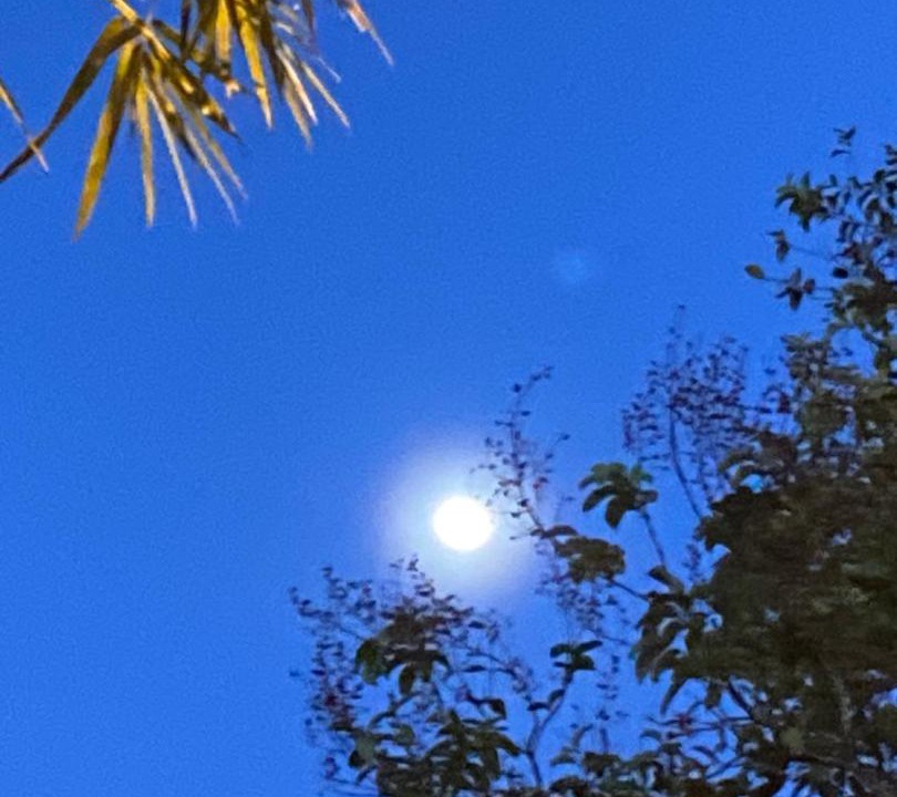 Photo of Others in Kampung Permatang Sireh