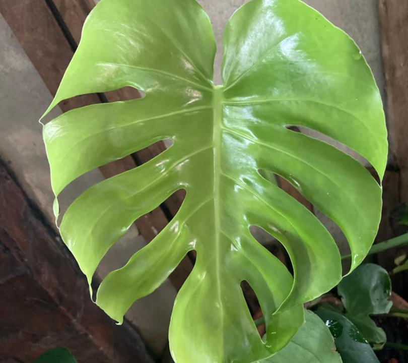 Photo of Bedroom in Kampung Permatang Sireh