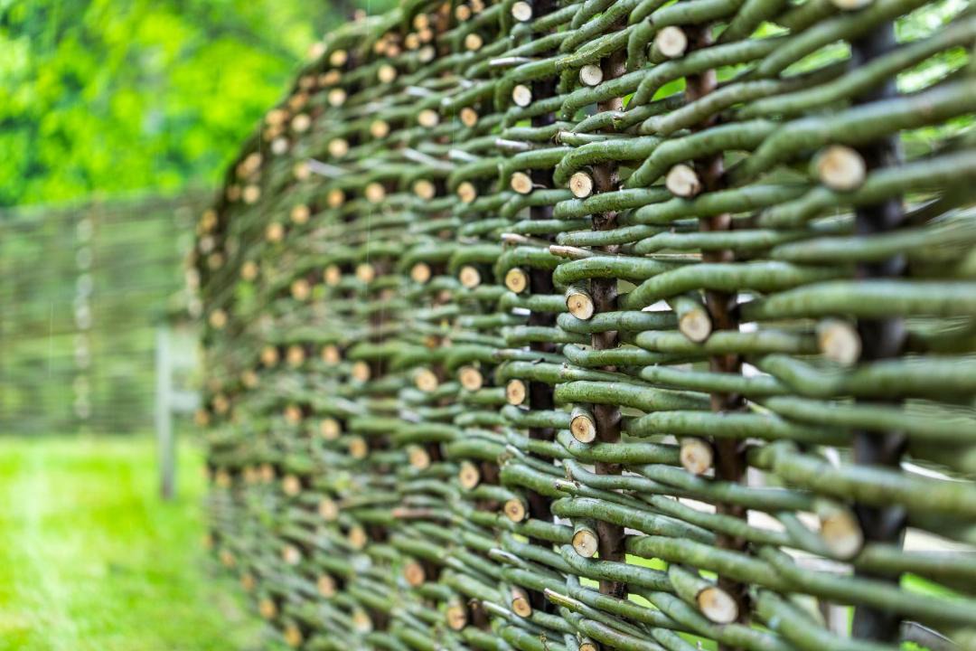 Photo of Others in Houghton