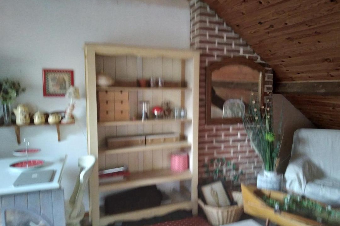 Photo of Livingroom in Vauban - Wazemmes