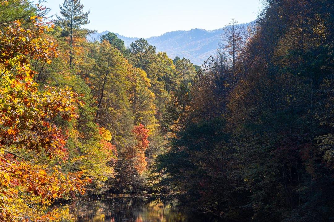 Photo of Outdoor in Pittman Center