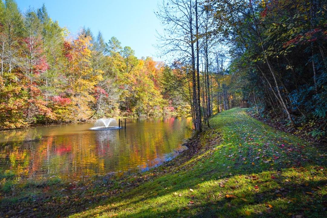 Photo of Outdoor in Pittman Center