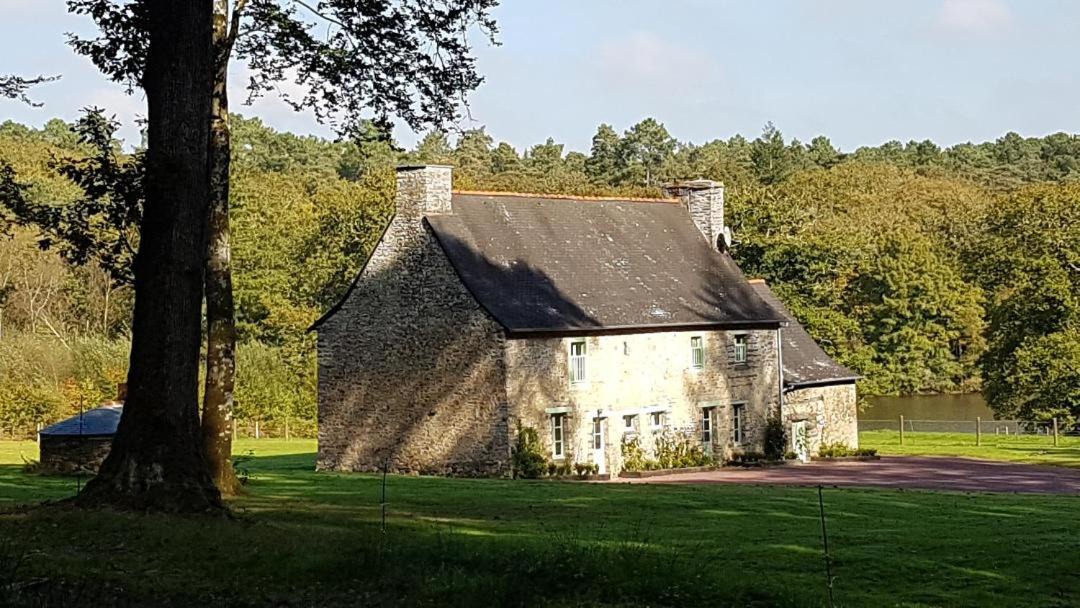 Photo of Others in Paimpont