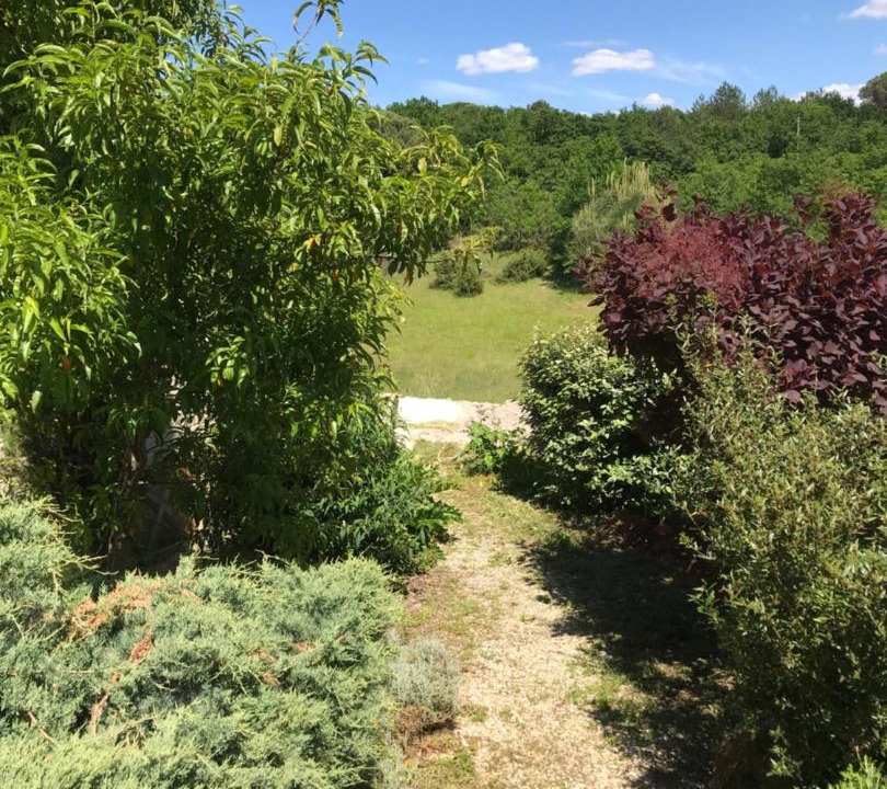 Photo of Outdoor in Saint-Paul-Lizonne