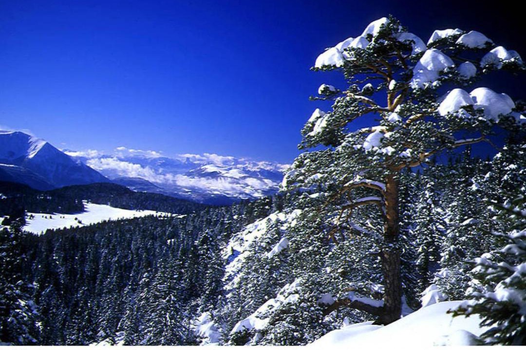 Photo of Buildings in Chamrousse