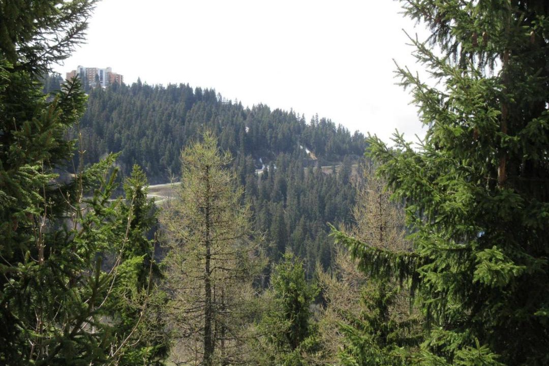 Photo of Outdoor in Chamrousse