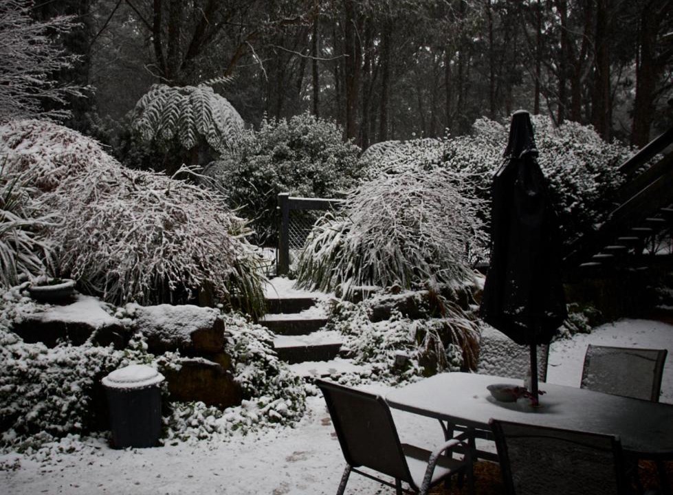 Photo of Others in Mount Tomah