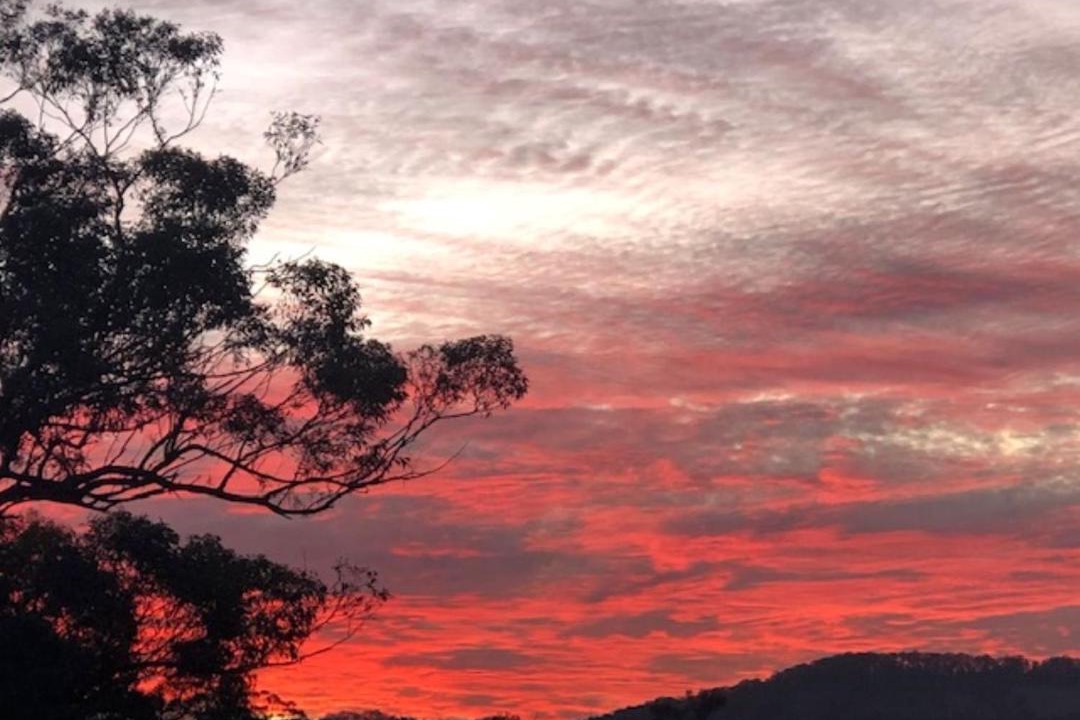 Photo of Outdoor in Bilpin