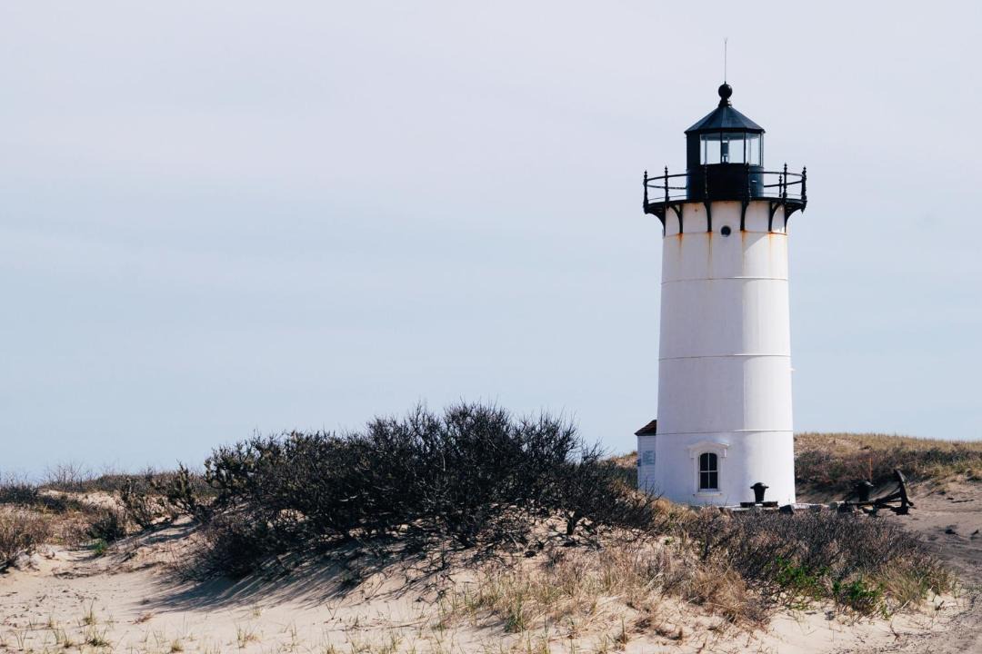 Photo of Others in Provincetown