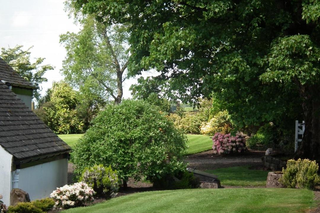 Photo of Others in Kilkenzie