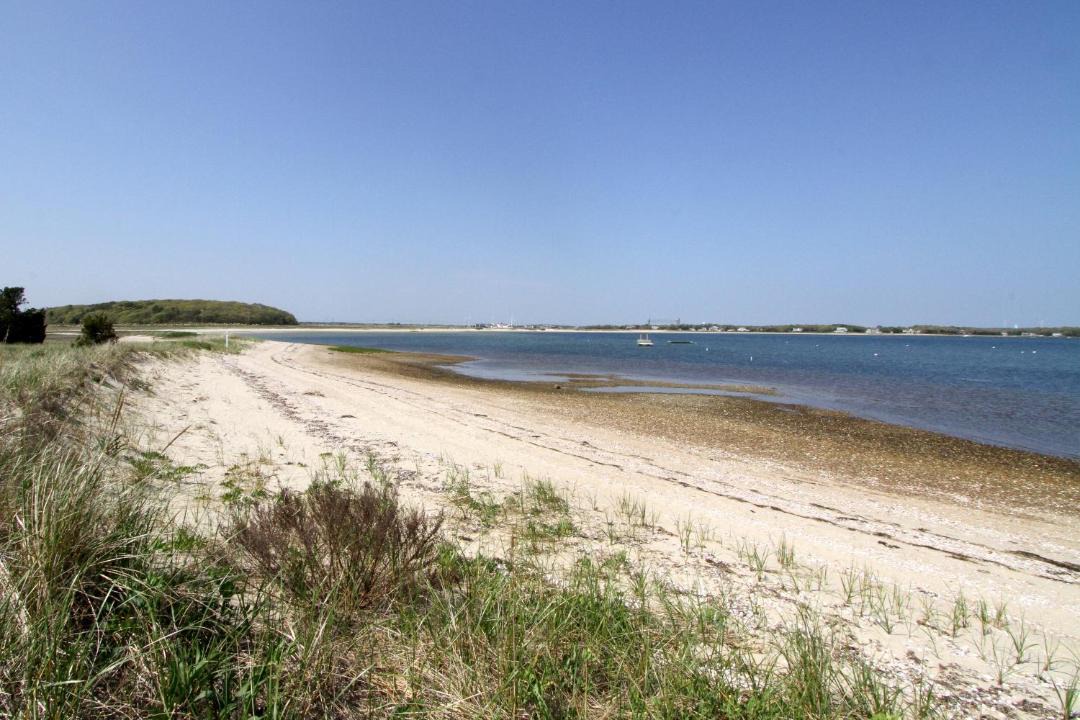 Photo of Others in Bourne