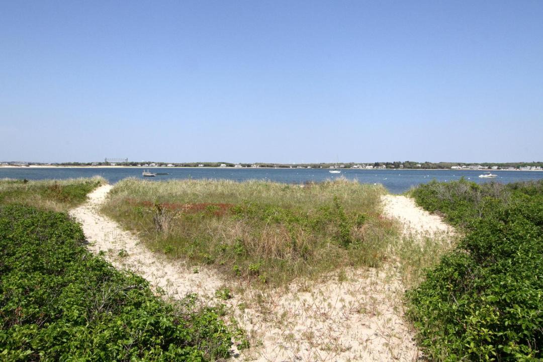 Photo of Others in Bourne