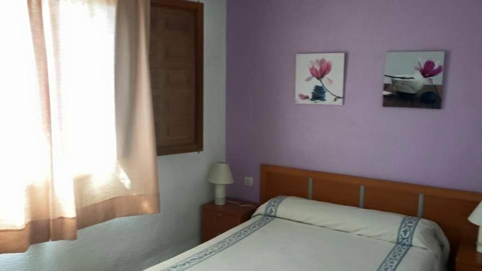 Photo of Others in Sant Mateu