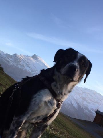 Photo of Others in Engelberg