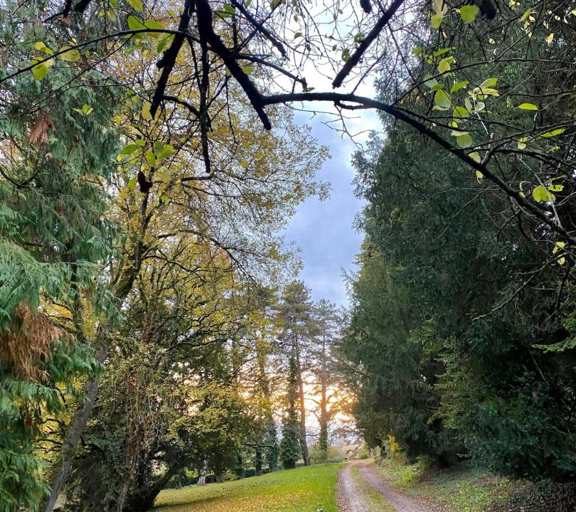 Photo of Others in Moroges