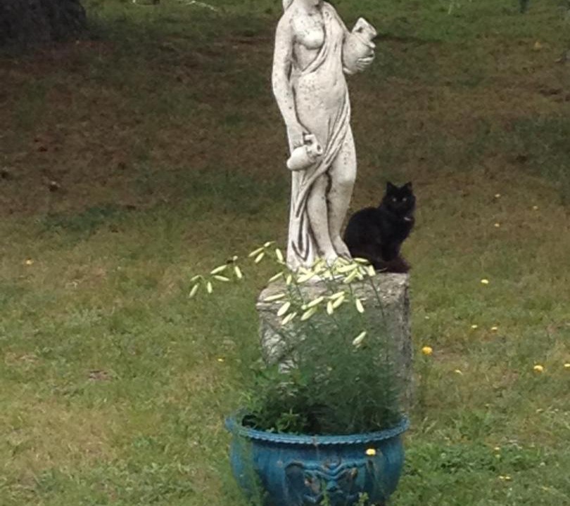 Photo of Others in Laroque