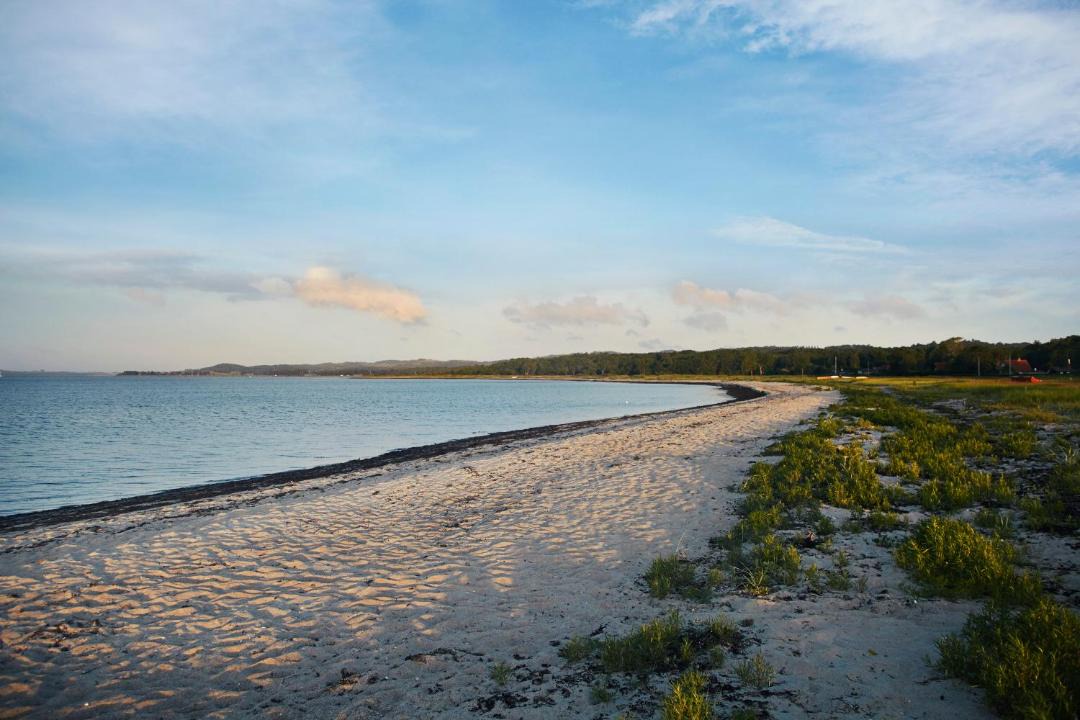 Photo of Others in Lyngsbæk Strand