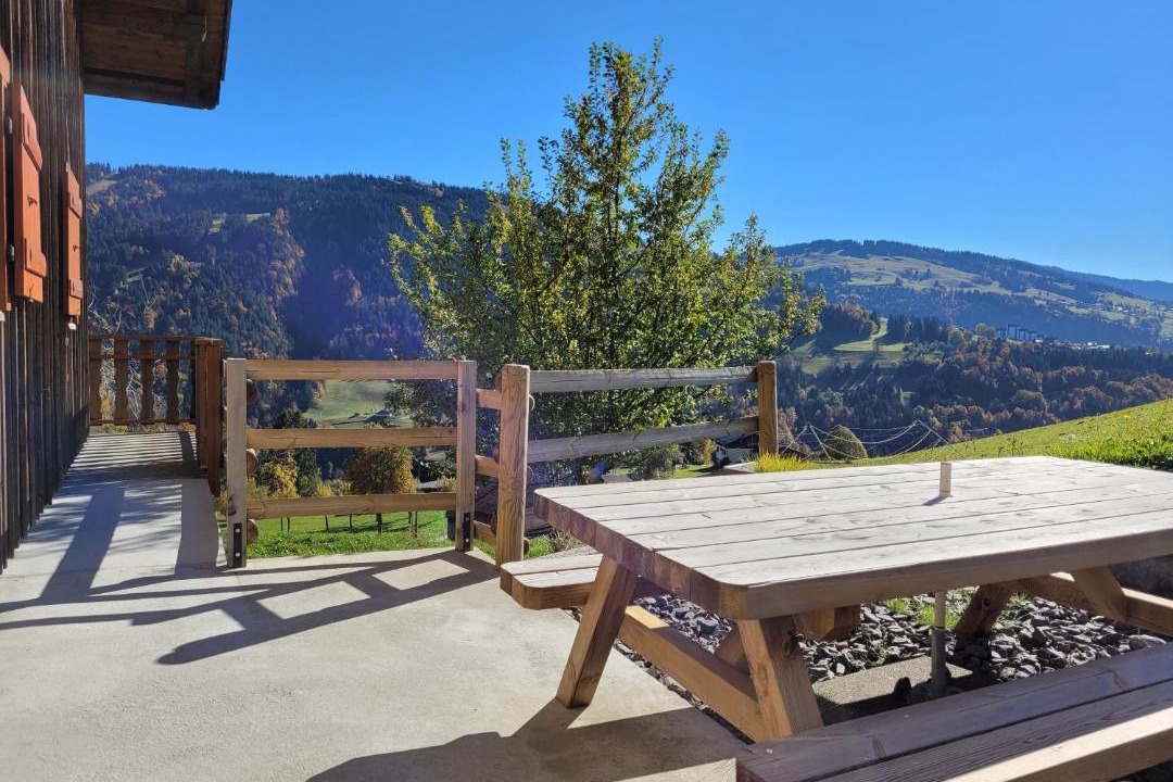 Photo of Others in Flumet