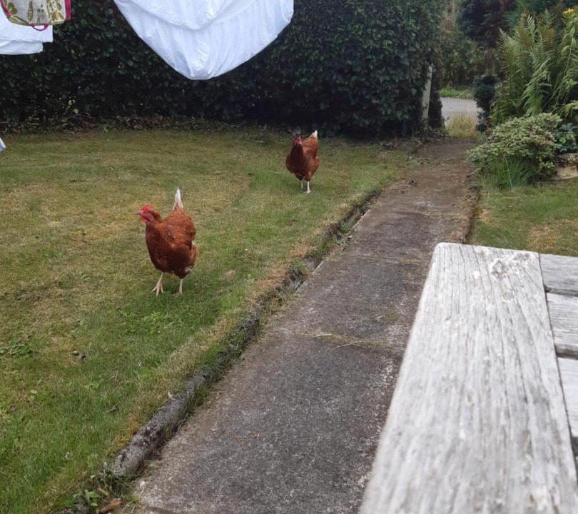 Photo of Others in Insch