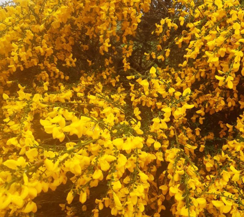 Photo of Outdoor in Insch