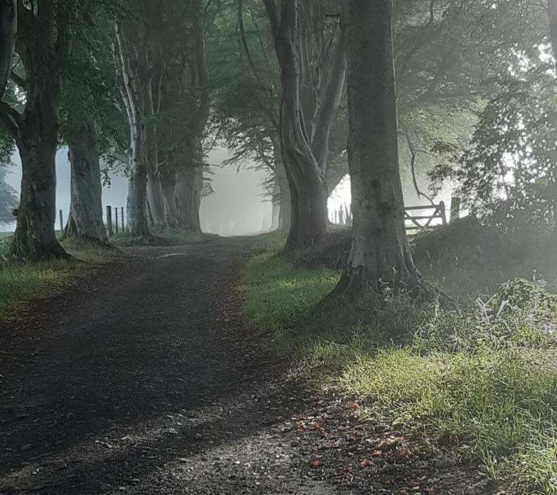 Photo of Buildings in Insch