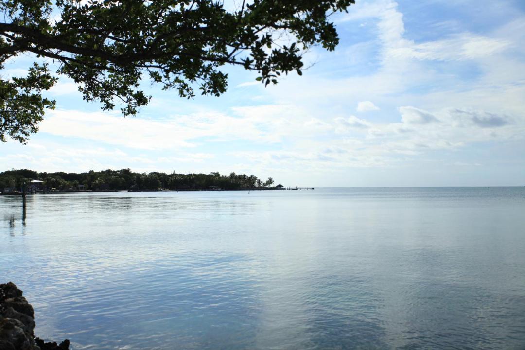Photo of Others in Key Largo