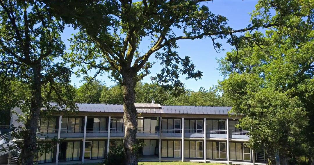 Photo of Others in Locarn