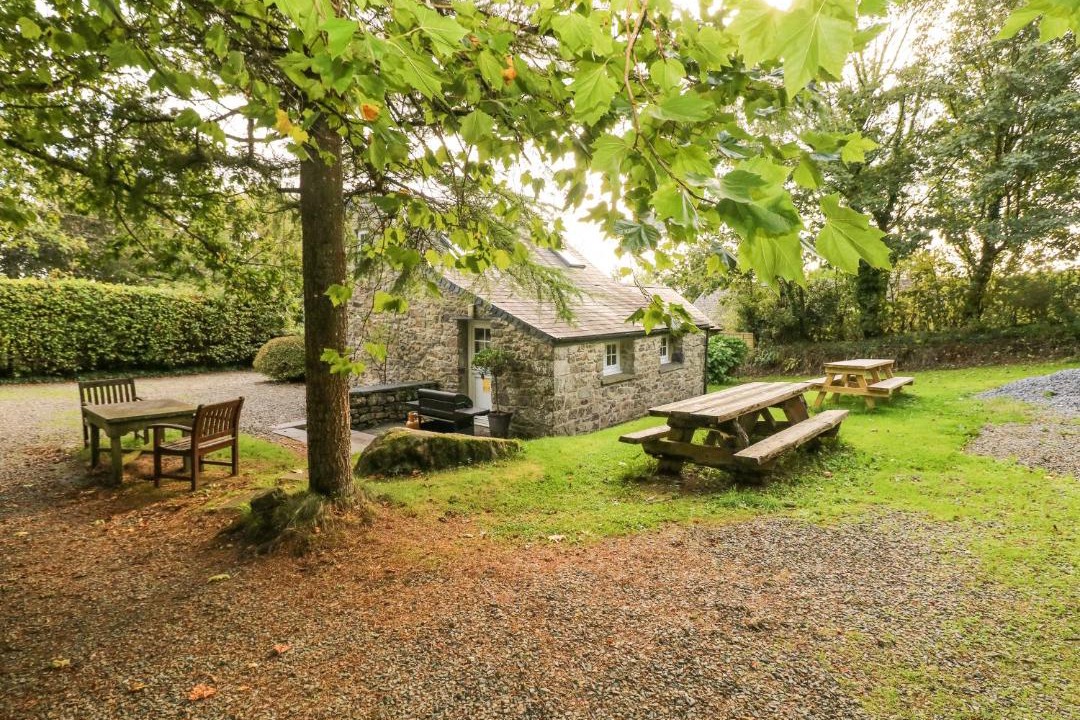 Photo of Others in Llys Y Fran