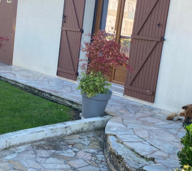 Photo of Buildings in Coucy-le-Chateau-Auffrique