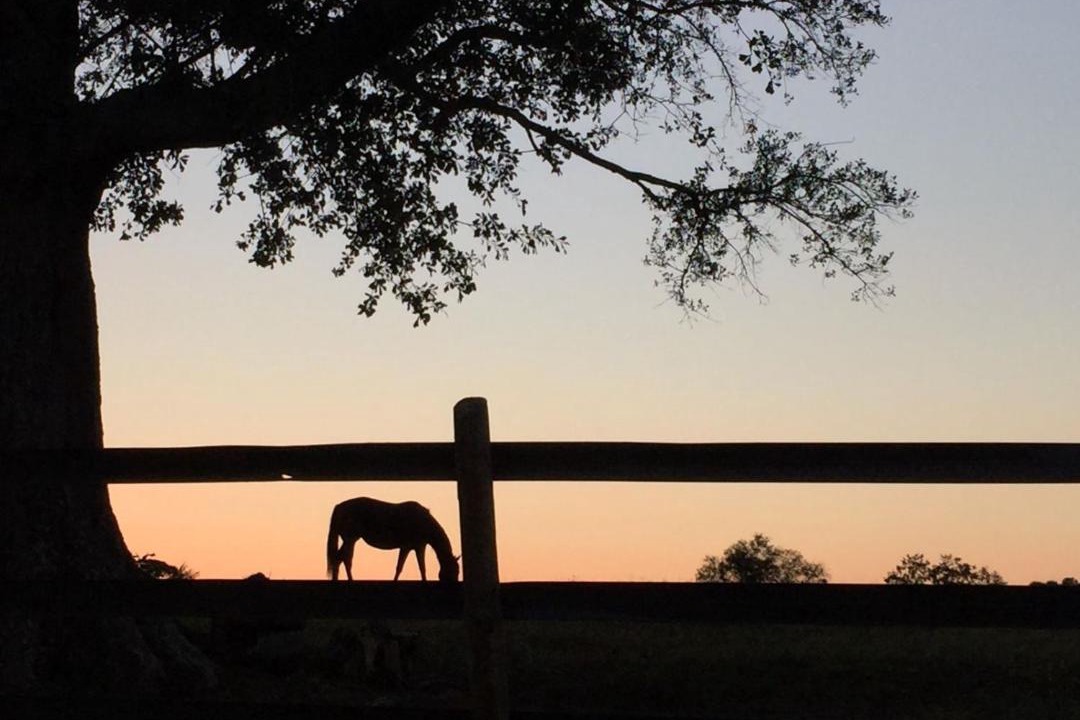 Photo of Others in Madison
