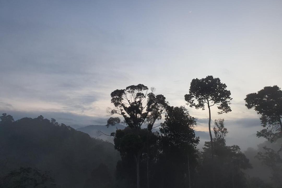 Photo of Outdoor in Janda Baik