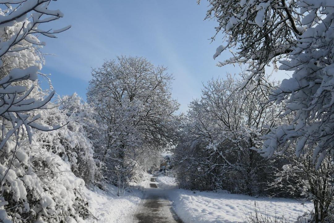 Photo of Others in Pfulgriesheim