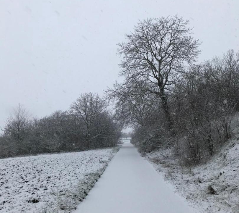 Photo of Others in Pfulgriesheim