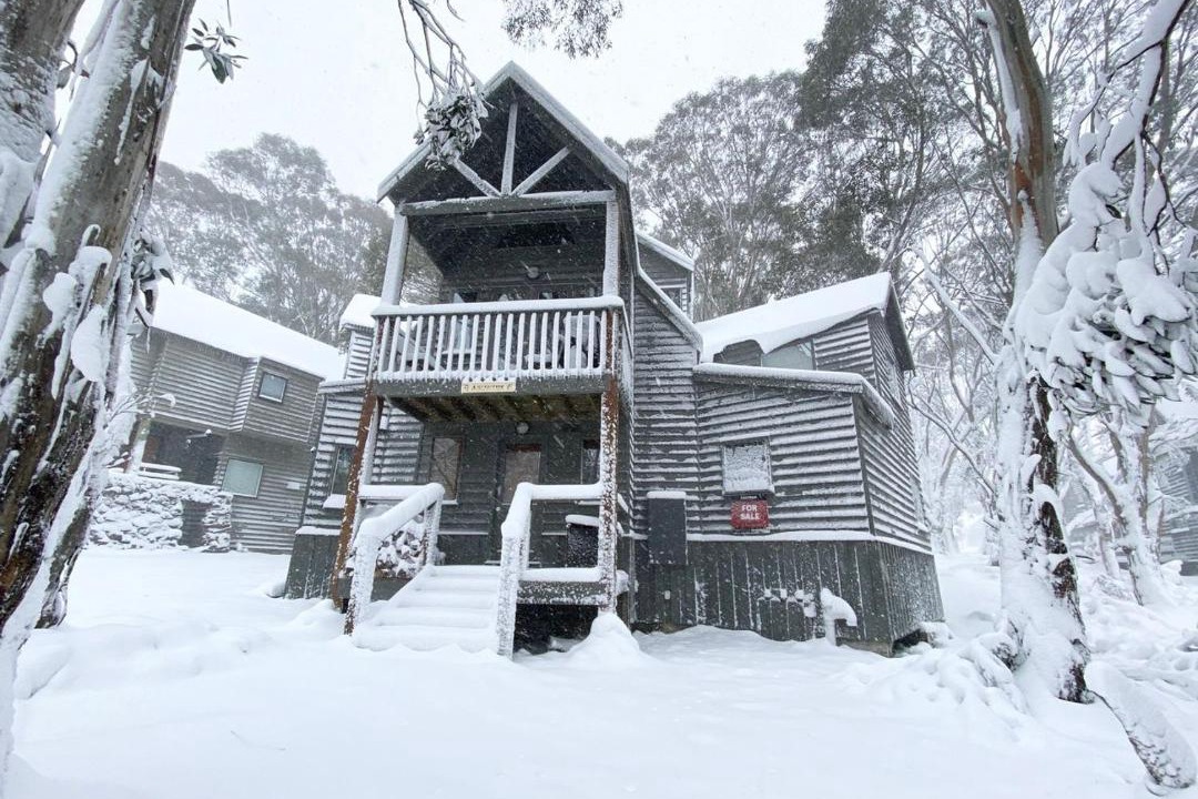 Photo of Others in Dinner Plain