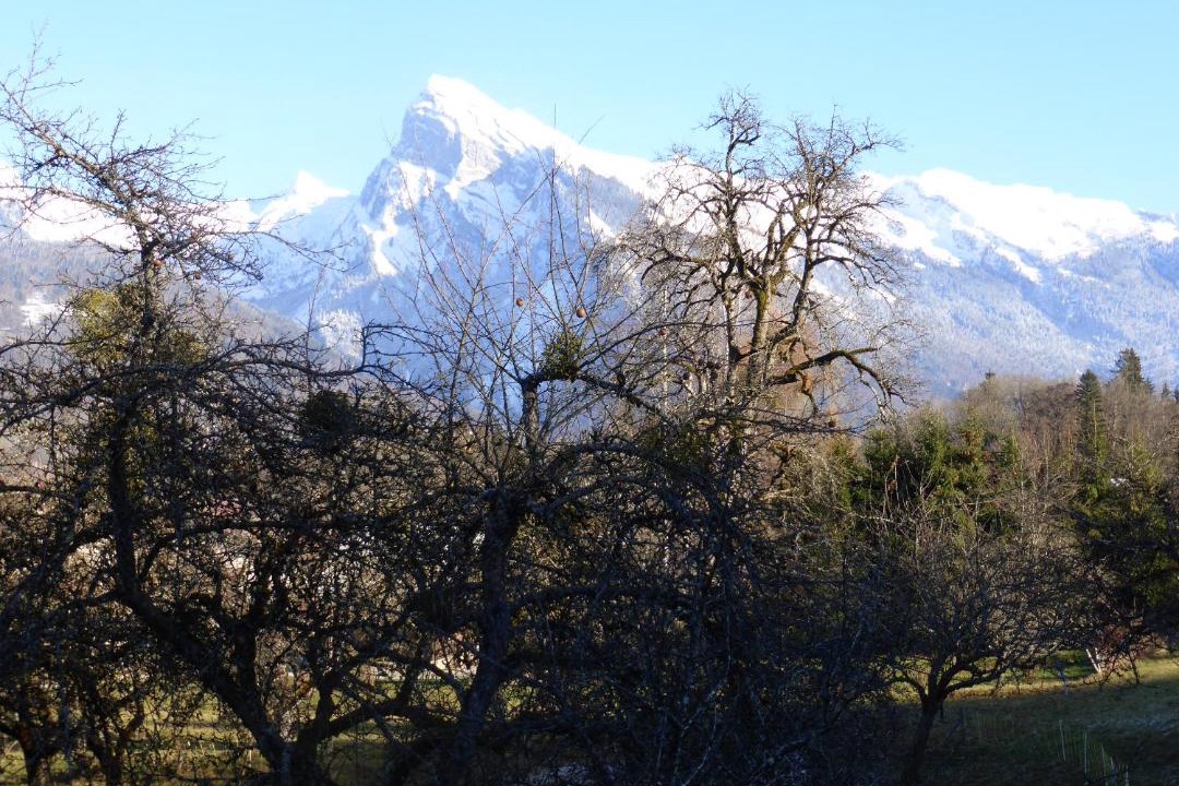 Photo of Others in Morillon