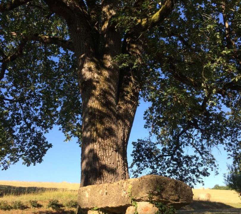 Photo of Others in Laveraet