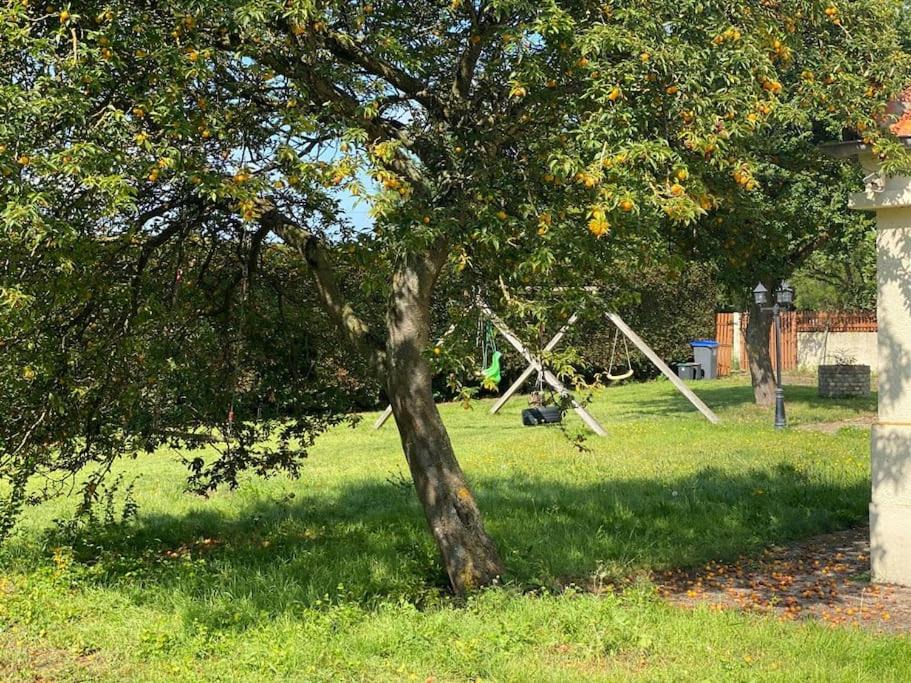 Photo of Others in Oye-Plage