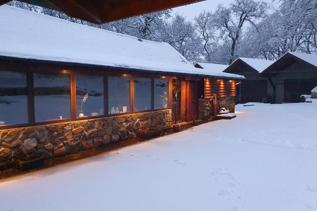 Photo of Others in Denny