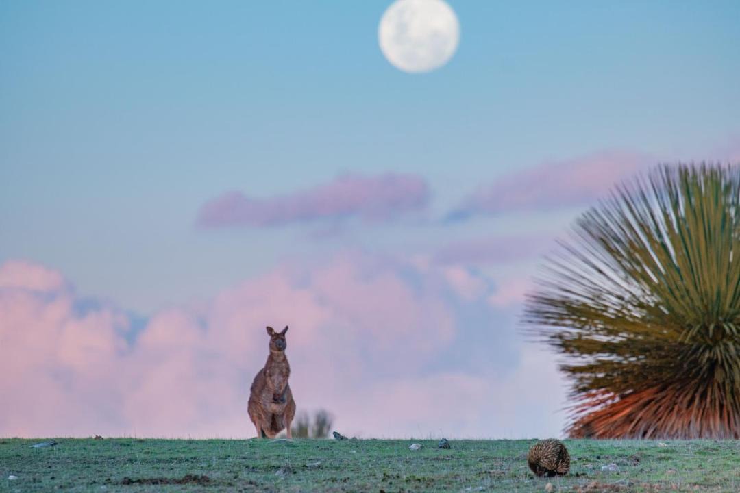 Photo of Others in Seddon