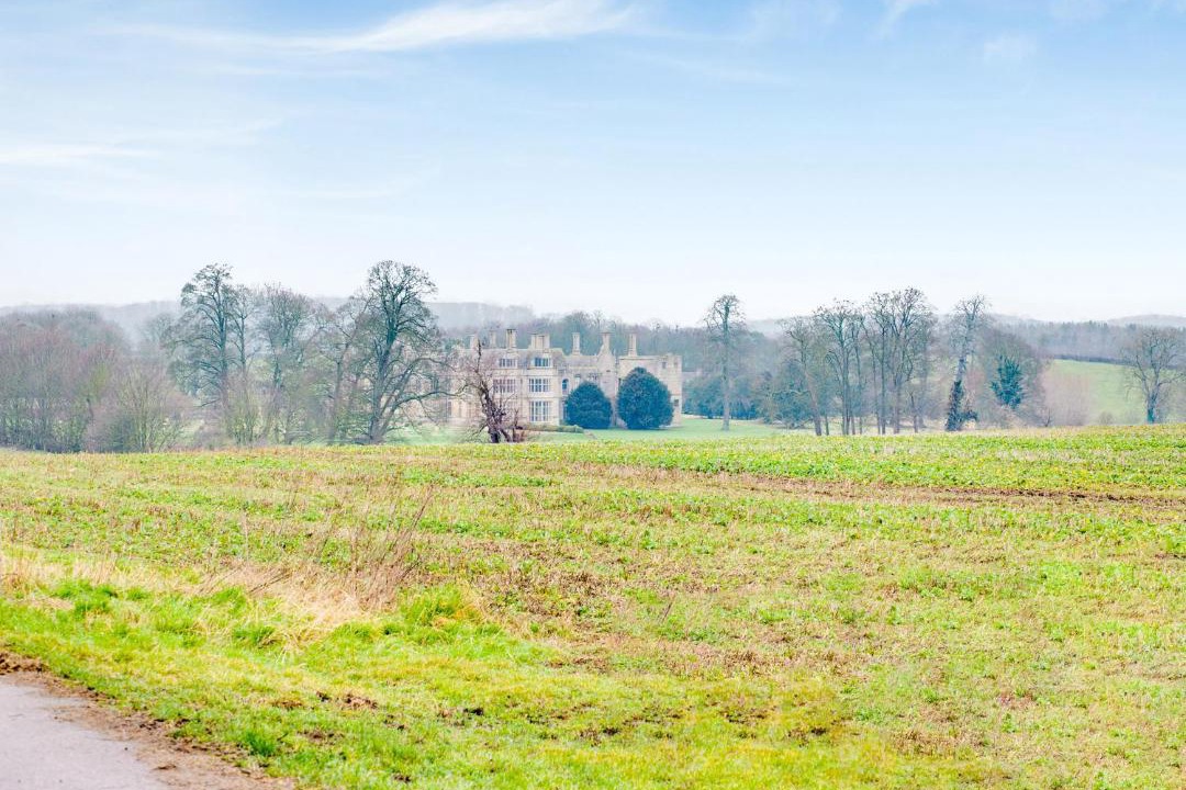 Photo of Others in Corby