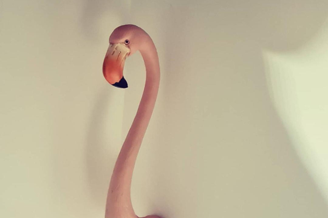 Photo of Others in Saint-Germain-des-Champs