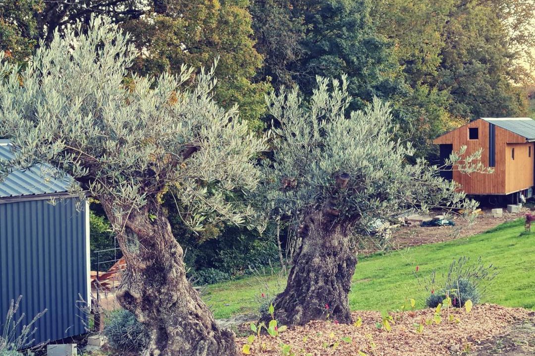 Photo of Others in Saint-Germain-des-Champs