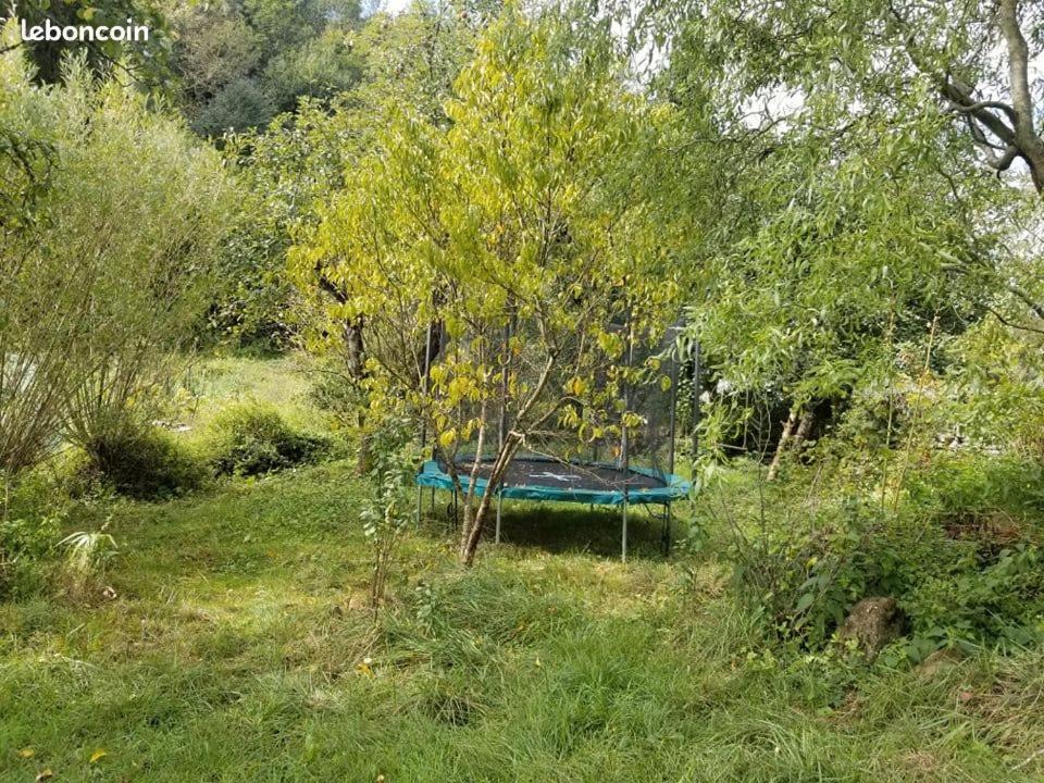 Photo of Others in Montseron