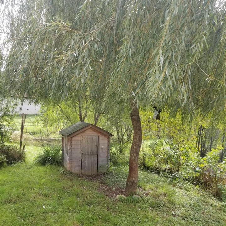 Photo of Others in Montseron