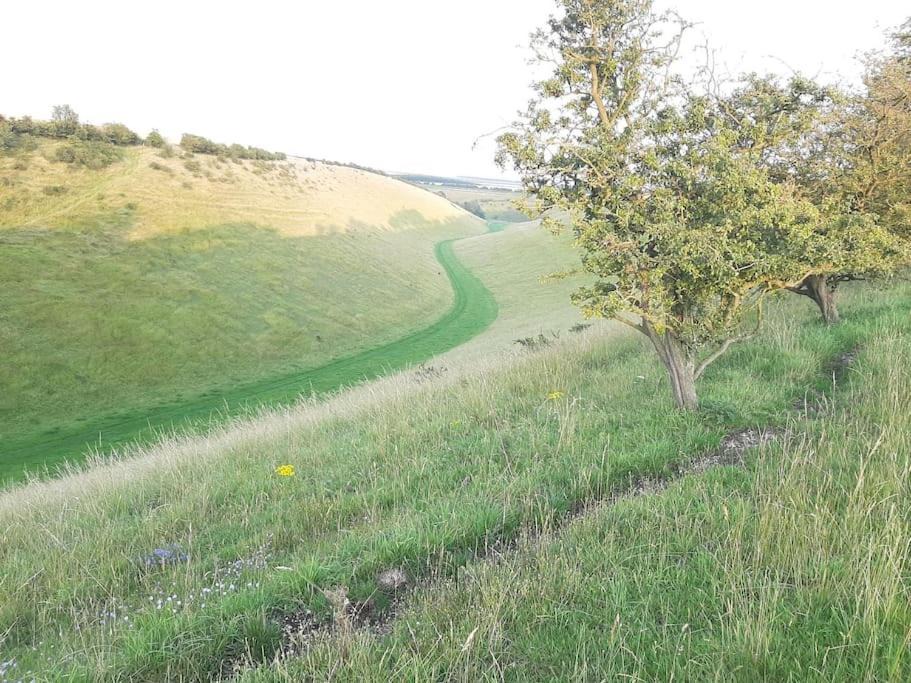 Photo of Others in Fridaythorpe