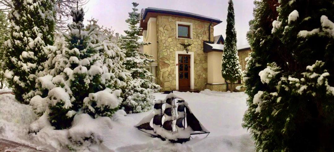 Photo of Buildings in Palitsy