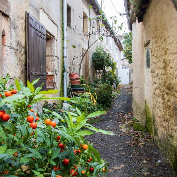 Photo of Buildings in Poitiers